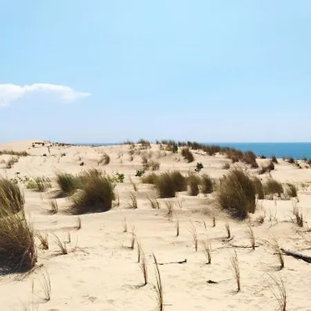 Maison Familiale 5 Ch, Proche Plage, Animaux Bienvenus - Fr-1-705-106