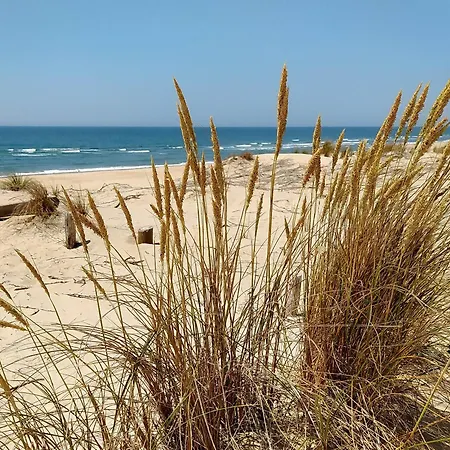 Maison Familiale 5 Ch, Proche Plage, Animaux Bienvenus - Fr-1-705-106 * لو ماثيز
