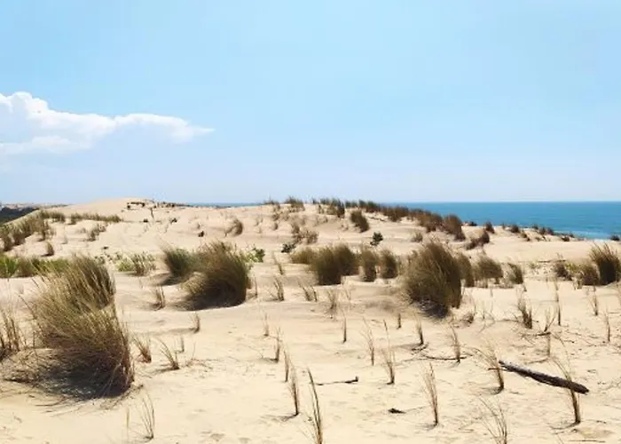 Maison Familiale 5 Ch, Proche Plage, Animaux Bienvenus - Fr-1-705-106